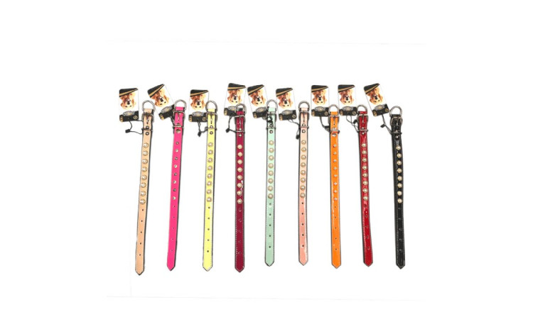 203778-DOGLİFE TAŞLI (SUNİ DERİ) BOYUN TASMASI NEON MİX COLOR 2X40CM